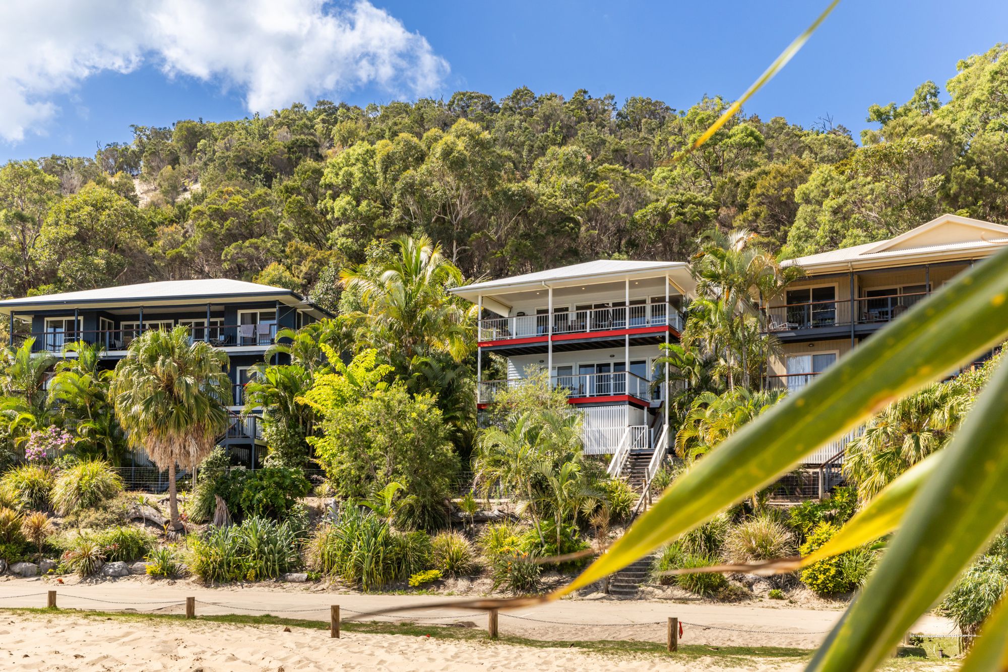 Beachfront homes in bushland