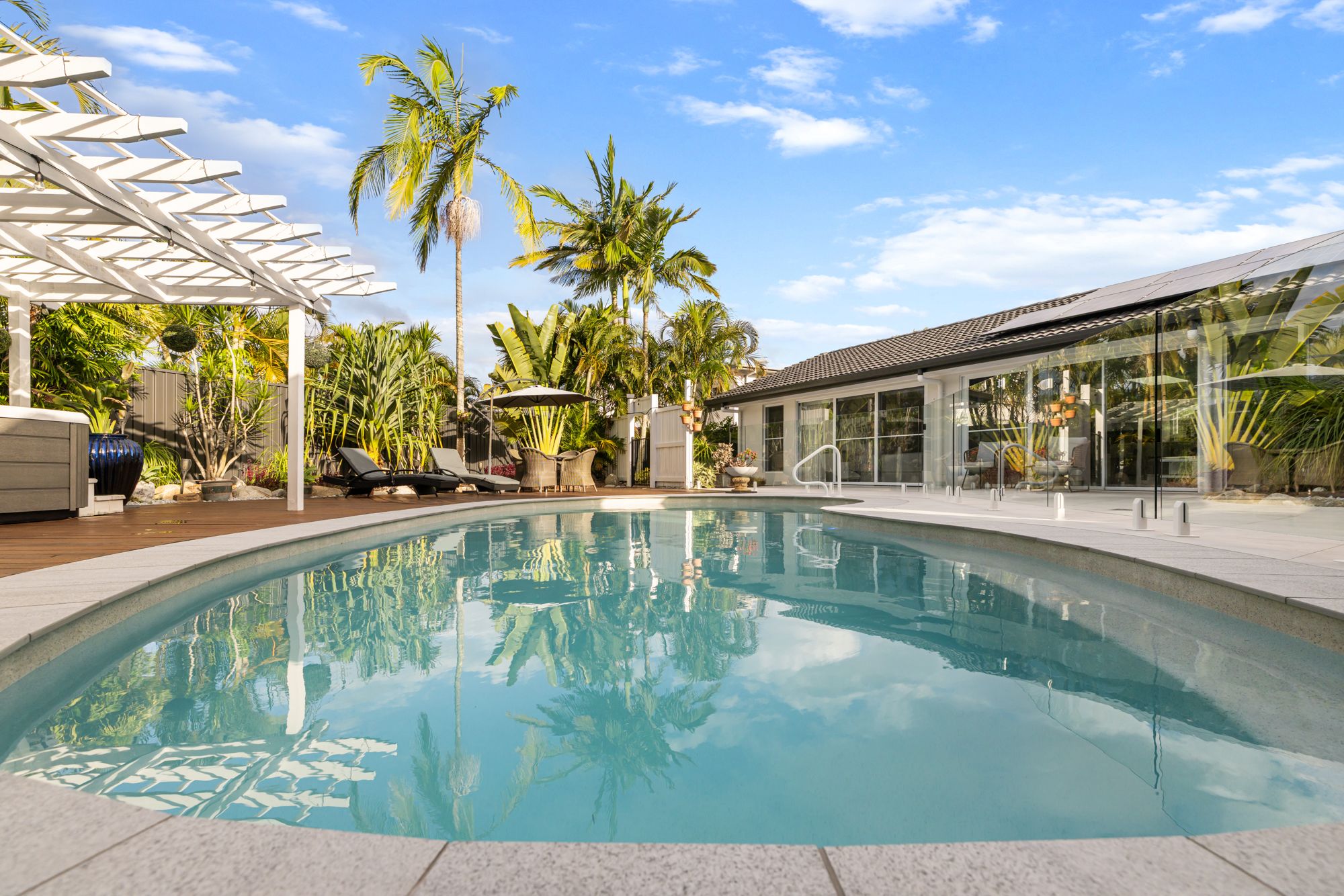 Pool framed by palms